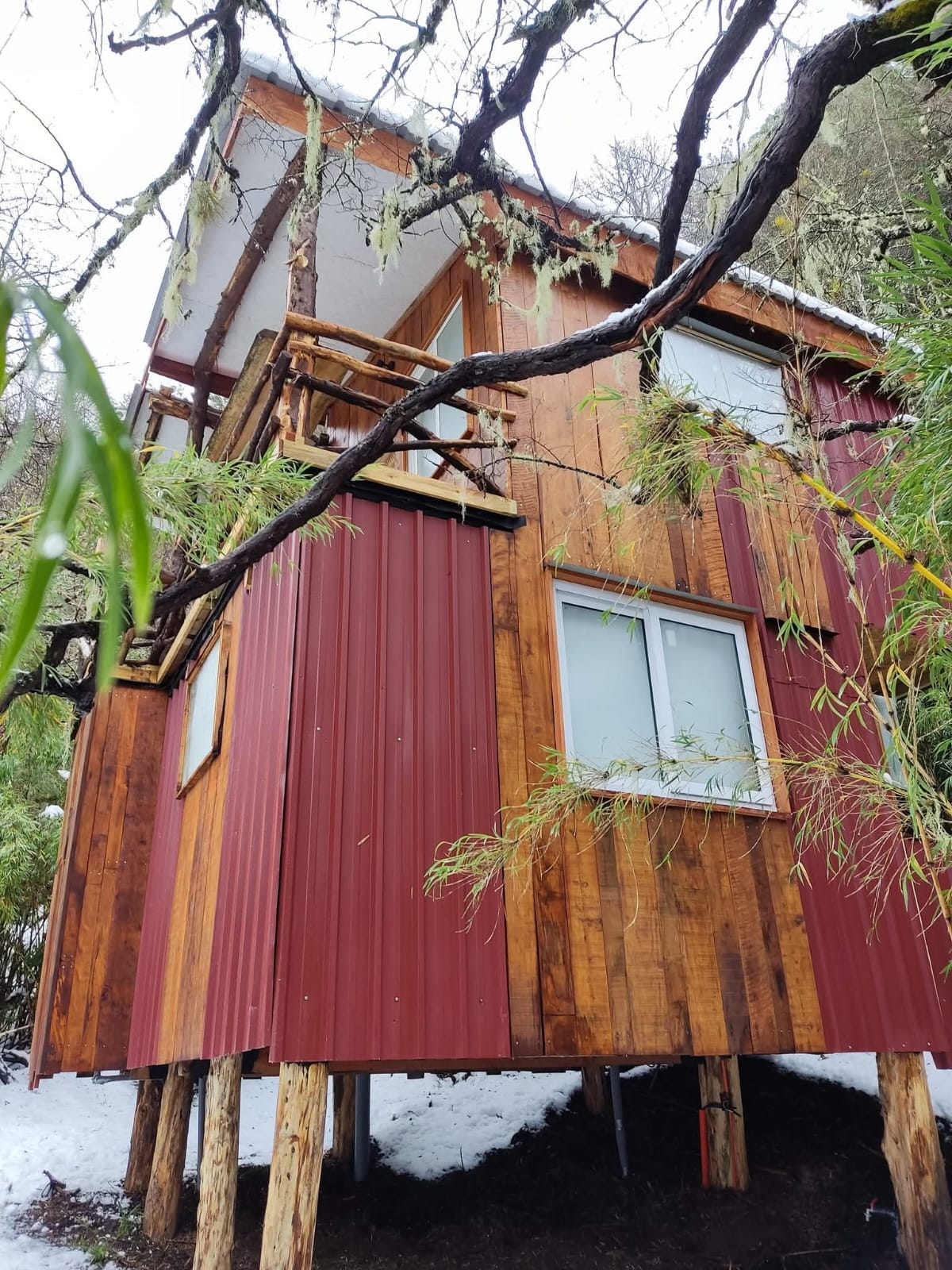 Cabaña de colores en el bosque